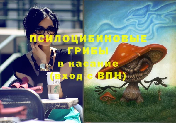 spice Верхний Тагил