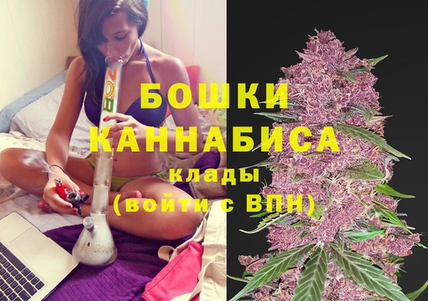 spice Верхний Тагил