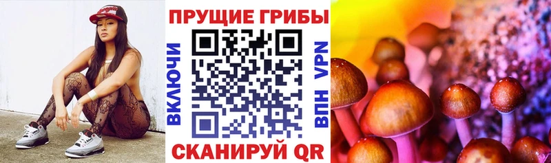 Псилоцибиновые грибы Psilocybine cubensis  купить закладку  Волгодонск 